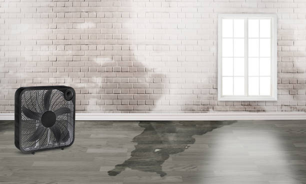 Water damage restoration mold remediation in Lathrop, CA
