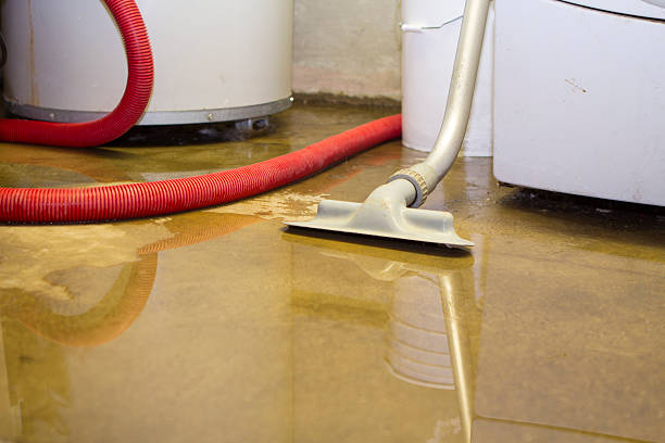 Best Carpet water damage restoration  in Lathrop, CA