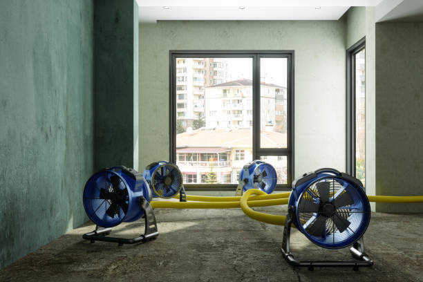 Best Water damage restoration near me  in Lathrop, CA