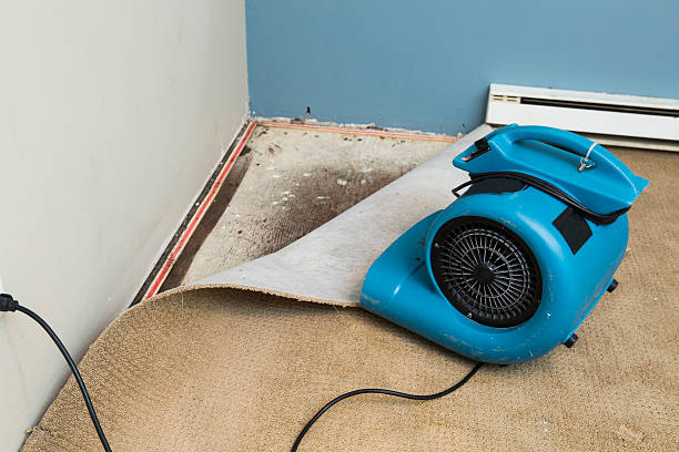 Best Water damage restoration process  in Lathrop, CA